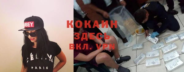гидра Алексеевка