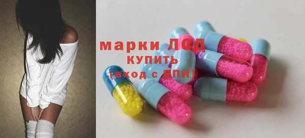 гидра Алексеевка