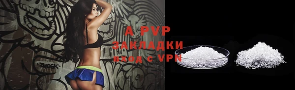 гидра Алексеевка